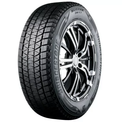 Zimné pneumatiky Bridgestone DM-V3 285/60 R18 116R