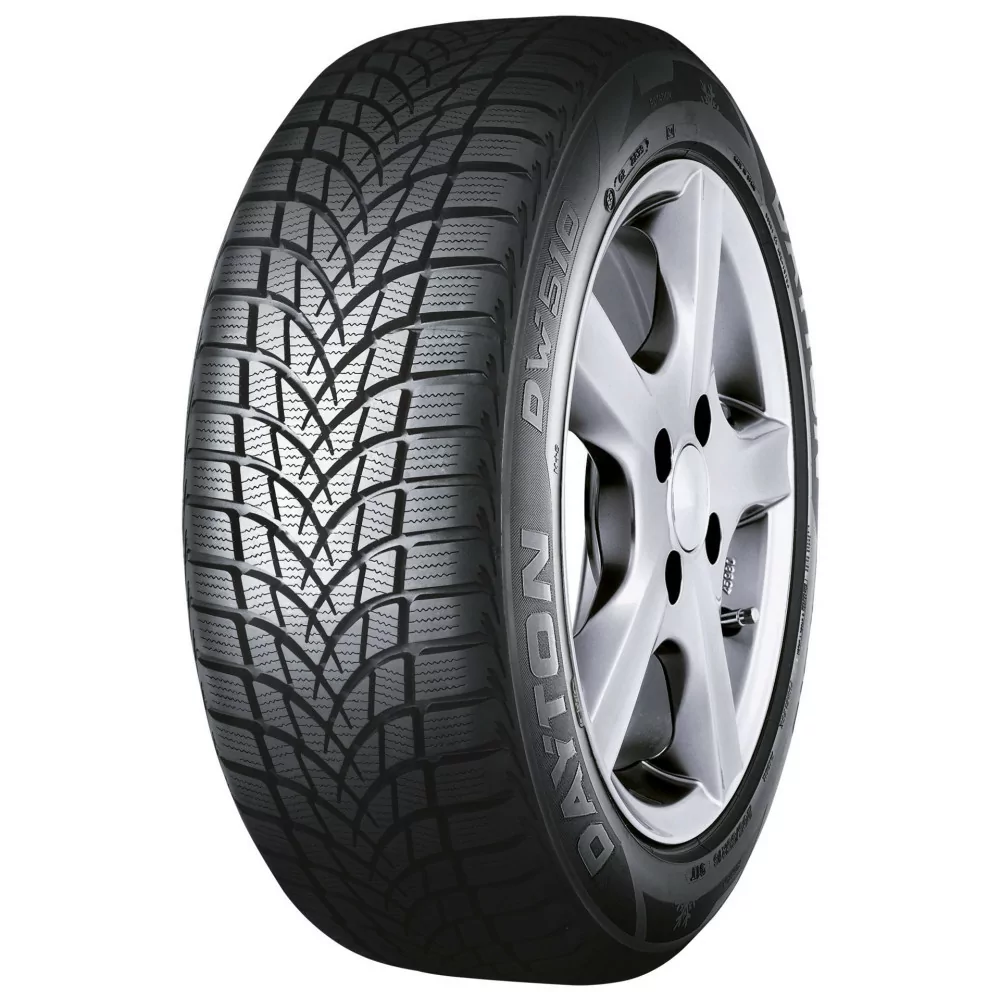 Zimné pneumatiky Dayton DW510E 205/50 R17 93V